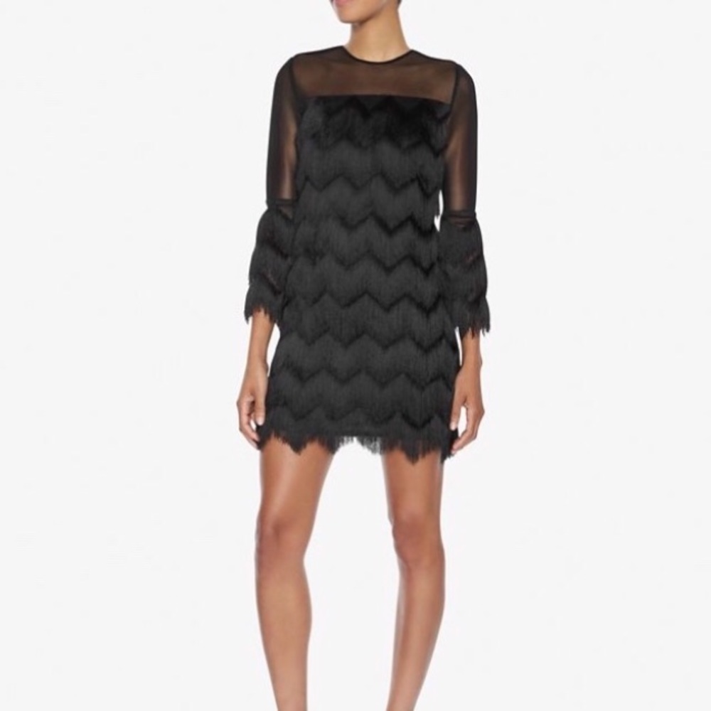 Alexis Xiomara fringe dress